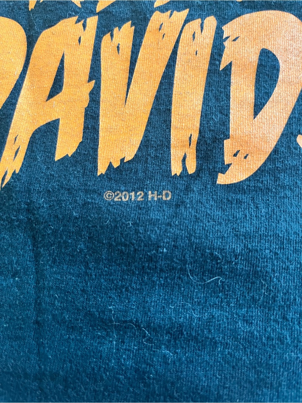 Harley-Davidson 2012 Black  Hard Core Mohawk Skull Bourbon Street Tee Size Small - Picture 4 of 15